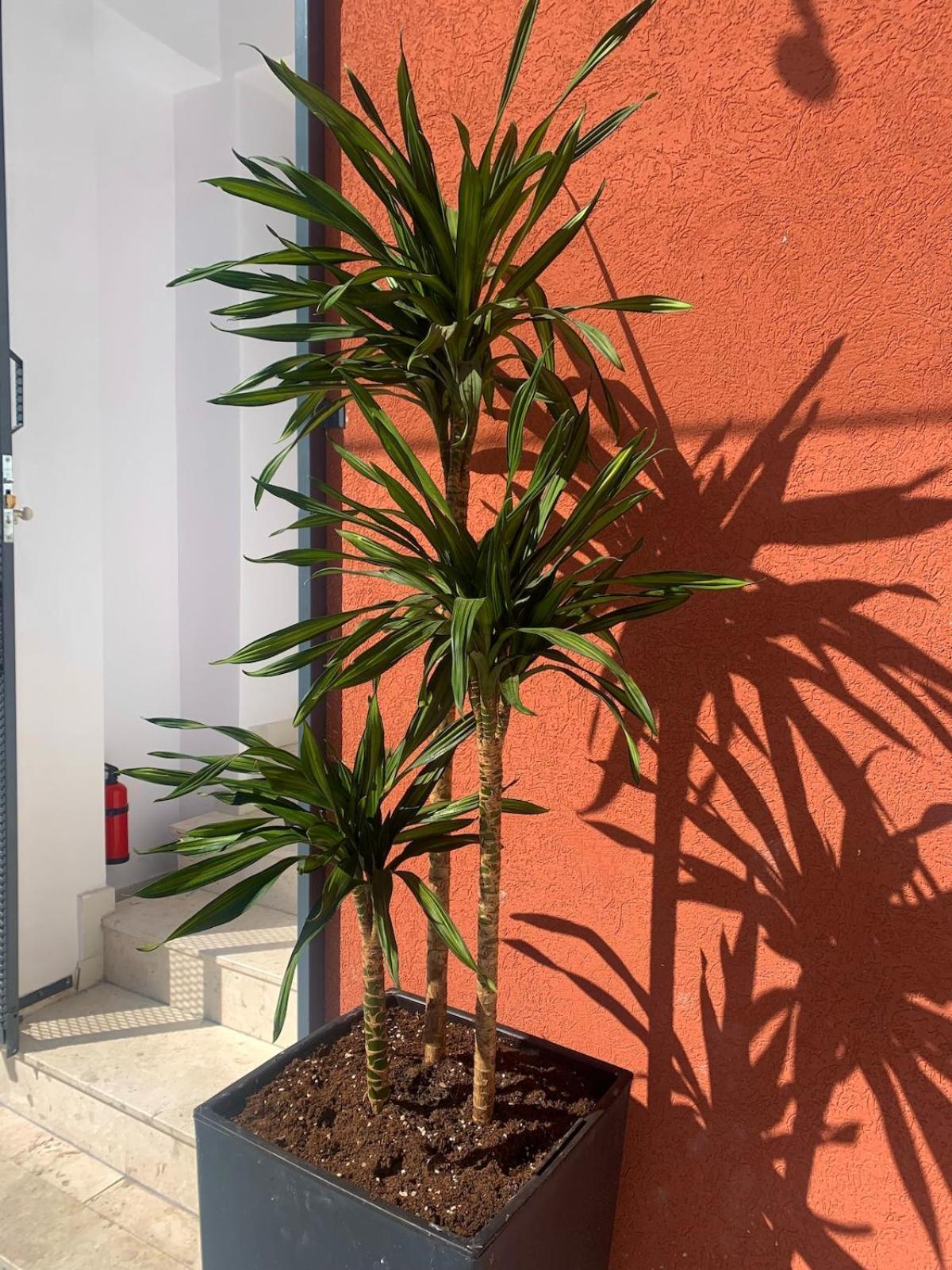 Leon Private Hébergement de vacances *